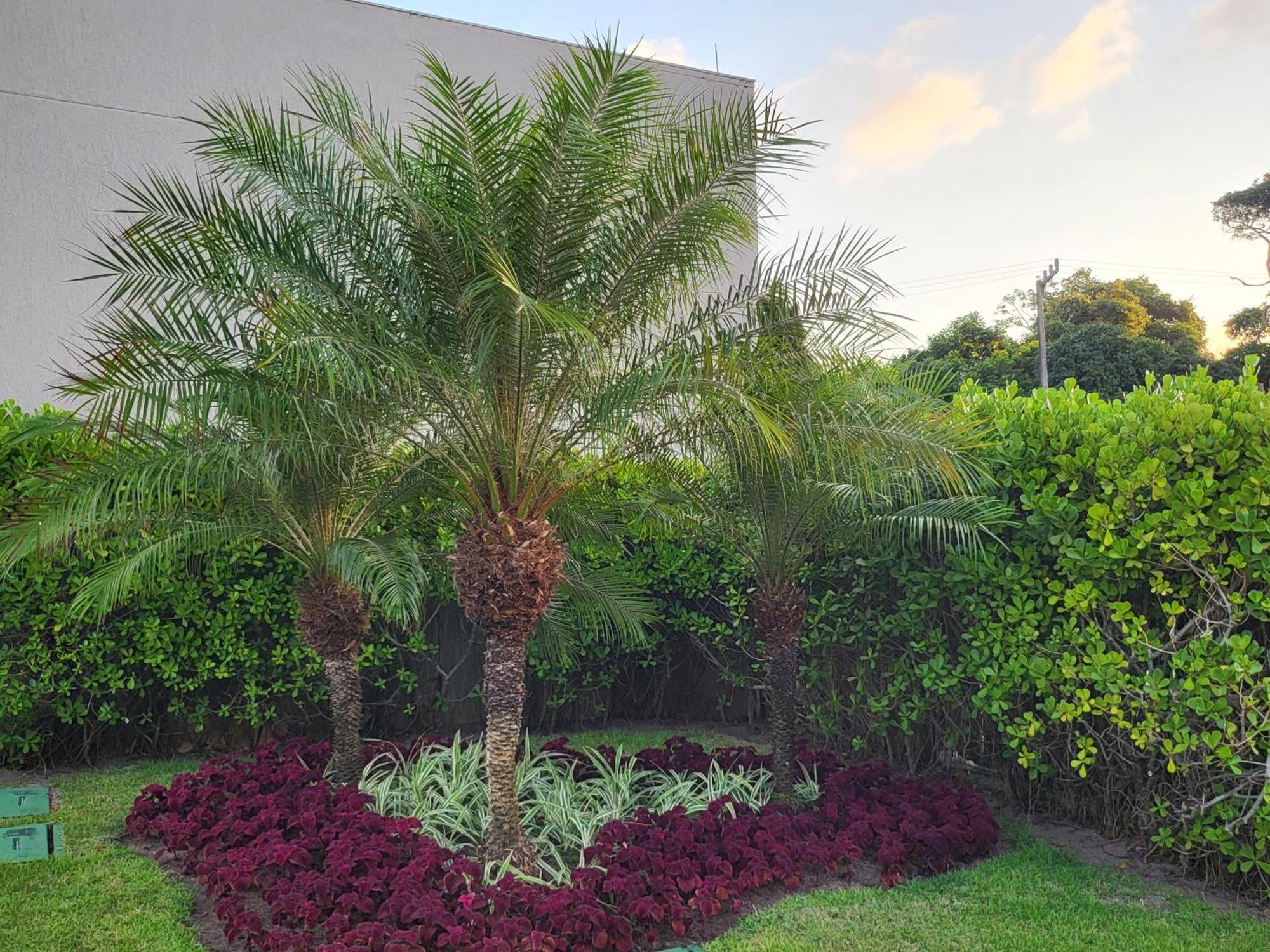 Boutique Ecolife Porto de Galinhas Exterior foto
