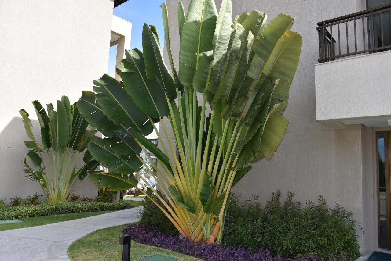 Boutique Ecolife Porto de Galinhas Exterior foto
